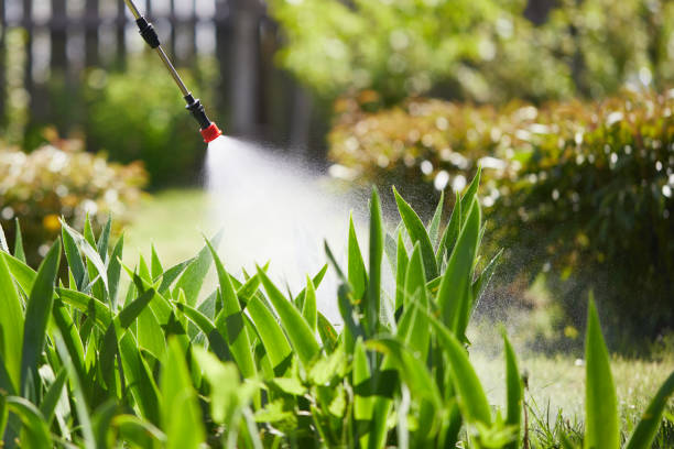 24/7 Emergency Mosquito Control experts in Lowell, NC