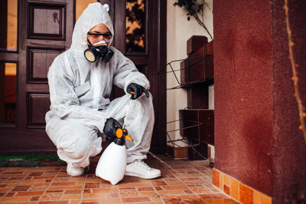 Reliable Mosquito Control contractor in Lowell, NC by Show Me Pest Control